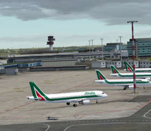 Alitalia aircraft located at the Rome Fiumicino airport. You can go from the airport to the center of Rome with our Rome Airport Transportation